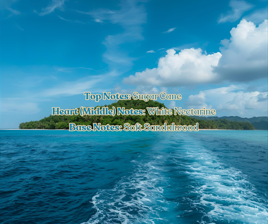 Meet Me In Fiji | Multi-Use Air Freshener