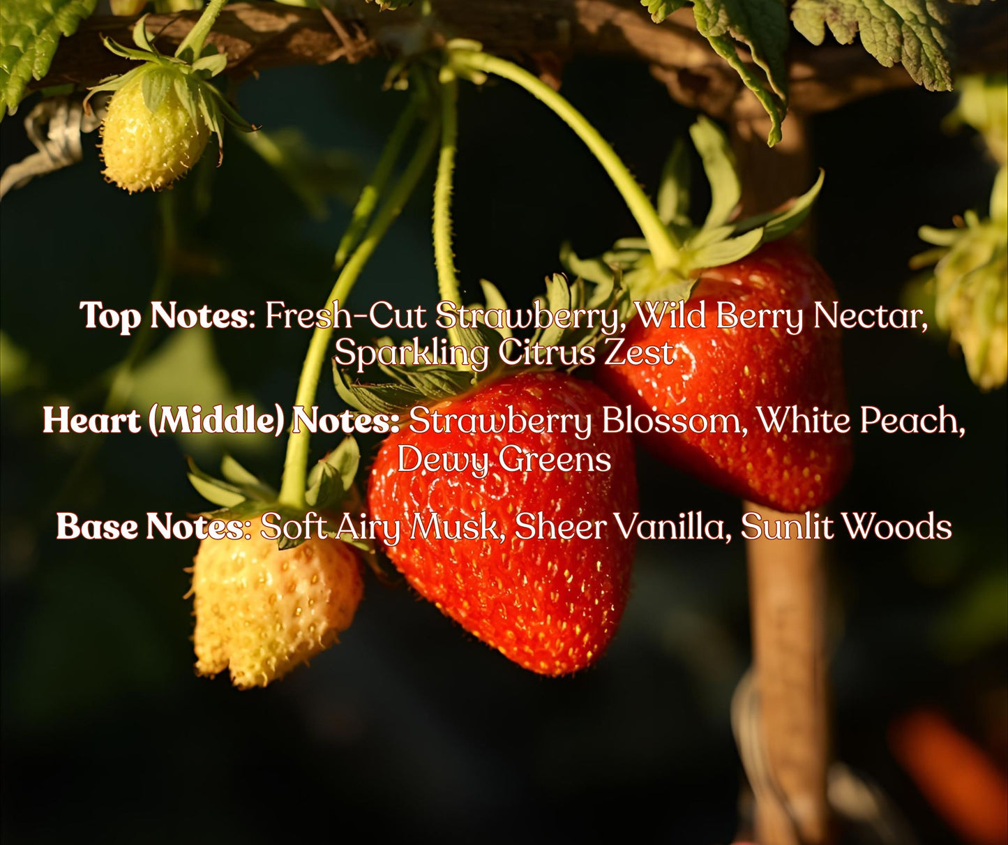 Sun-kissed Strawberries | Multi-Use Air Freshener
