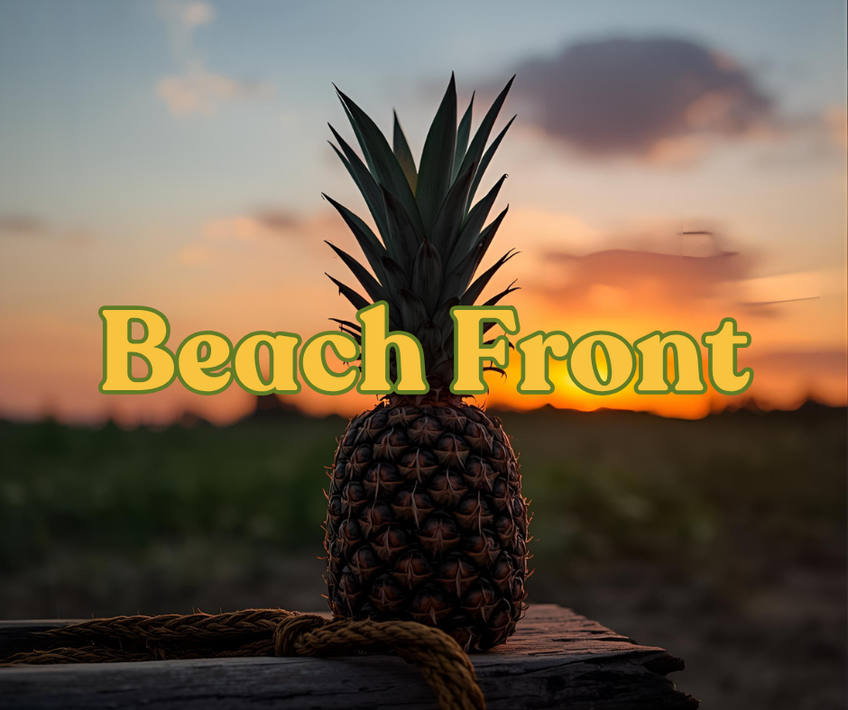Beach Front | Multi-Use Air Freshener