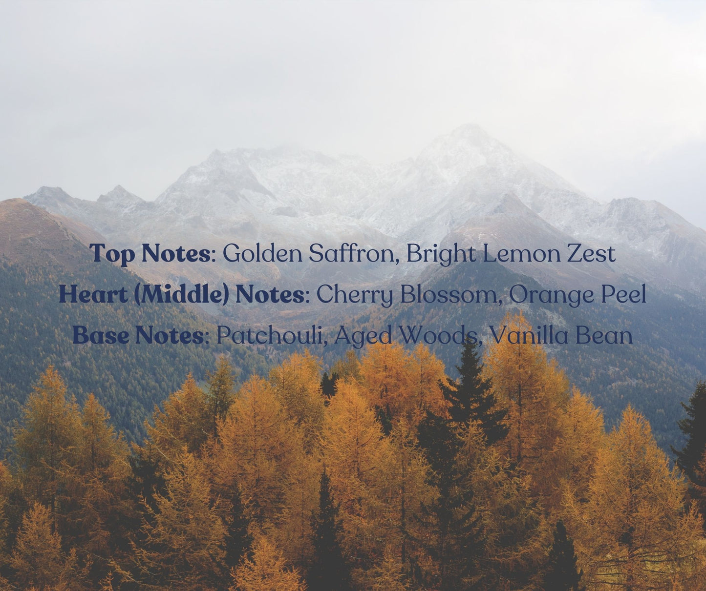 Whispers of Autumn | Multi-Use Air Freshener