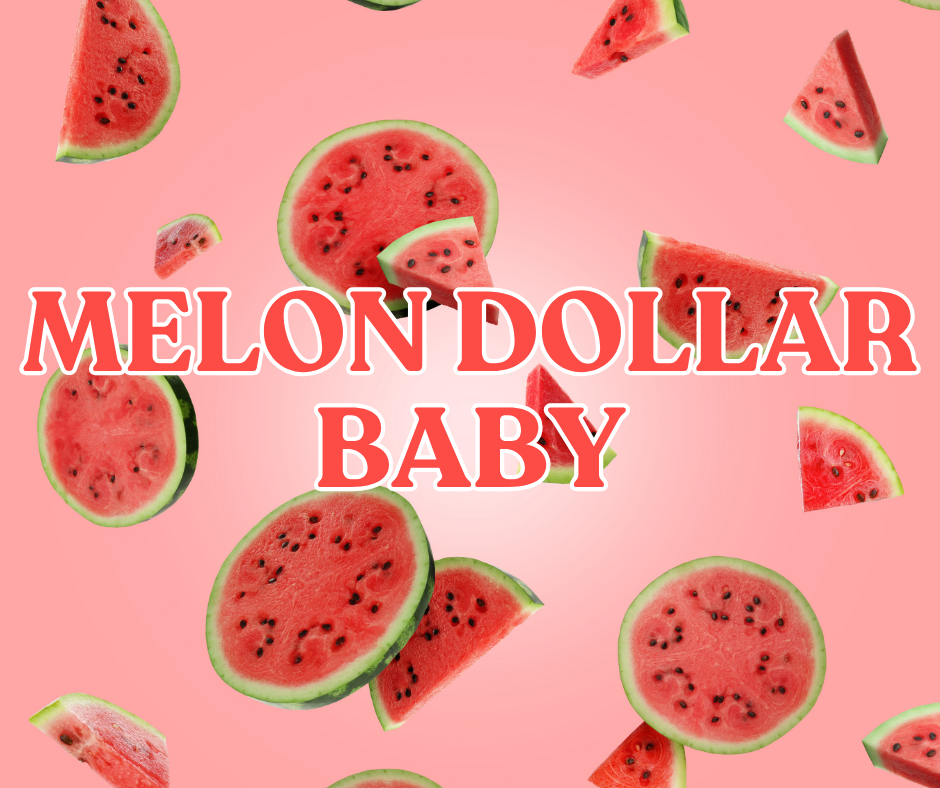Melon Dollar Baby | Multi-Use Air Freshener