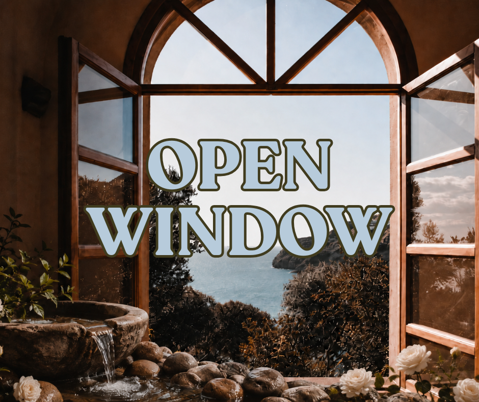 Open Window | Multi-Use Air Freshener