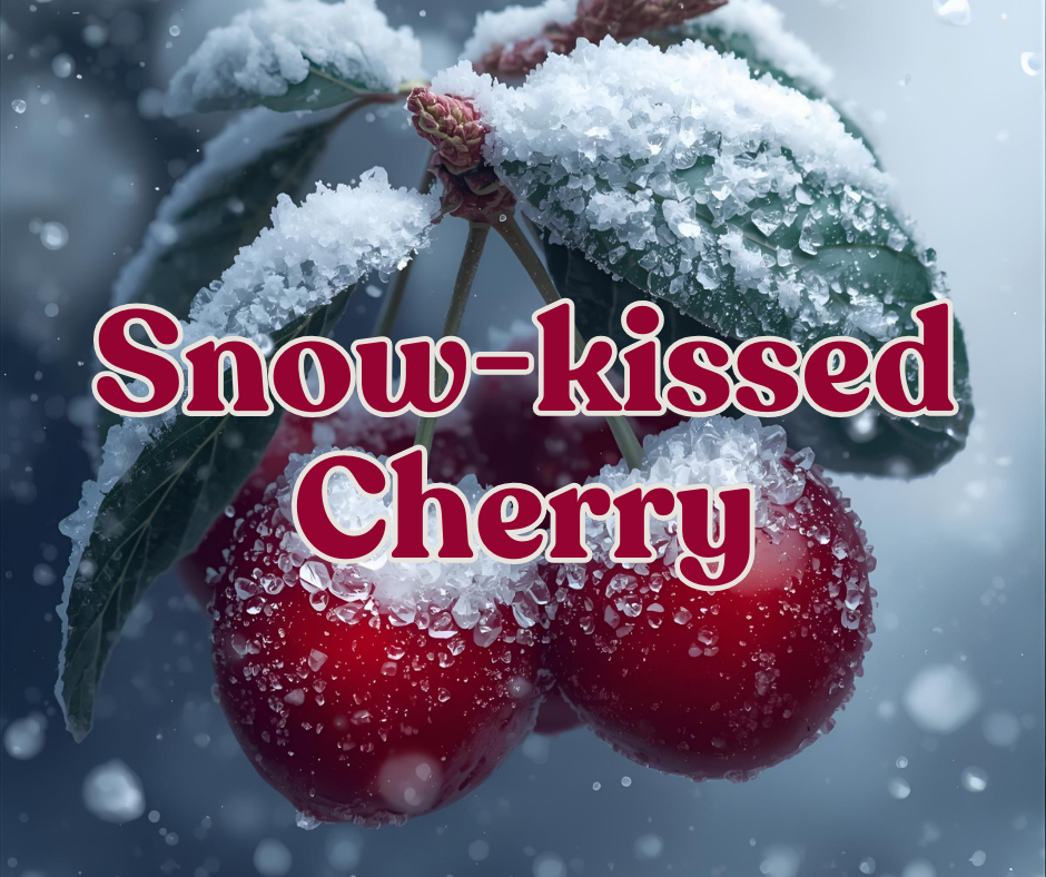 Snow-Kissed Cherry | Multi-Use Air Freshener